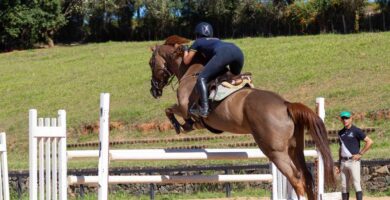 Medalhista olímpico projeta CT de primeiro mundo para o hipismo brasileiro