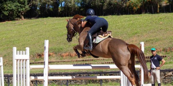 Medalhista olímpico projeta CT de primeiro mundo para o hipismo brasileiro