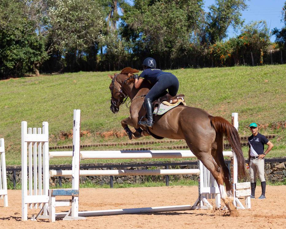 Medalhista olímpico projeta CT de primeiro mundo para o hipismo brasileiro