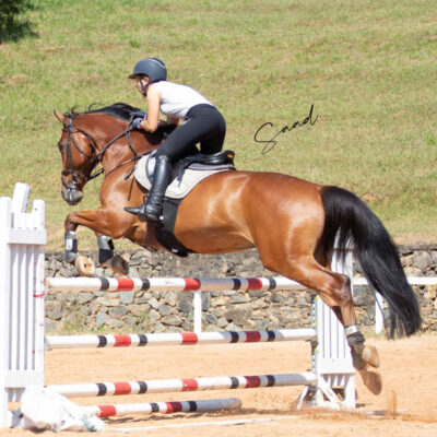 pg-sobre-dts1 pg-sobre-dts1