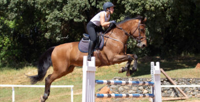 Doda Miranda abre CT para cavaleiros e lança competição com premiação milionária