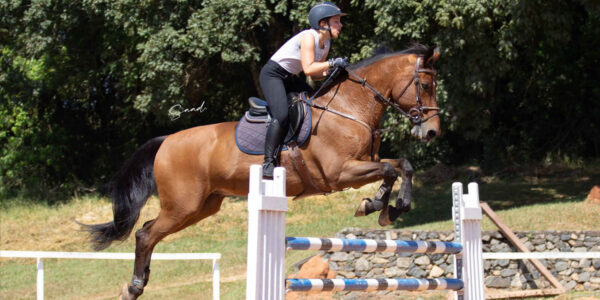 Doda Miranda abre CT para cavaleiros e lança competição com premiação milionária