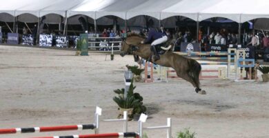 LÚCIO OSÓRIO VENCE CAVALEIROS OLÍMPICOS E FATURA R$ 30 MIL NO 1º GP DO DTC TOUR EM ITATIBA