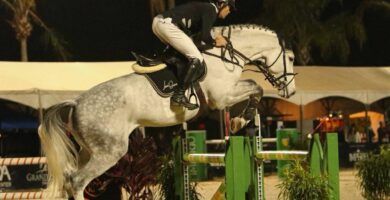 DEU A LOUCA NO HIPISMO! CAVALEIROS COMEÇAM, AMANHÃ, A CORRIDA PELO DINHEIRO DO DTC TOUR 2020, EM ITATIBA!