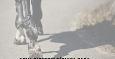 Nova Diretriz Técnica Nº 001/2021 – SALTO | Boleteiras